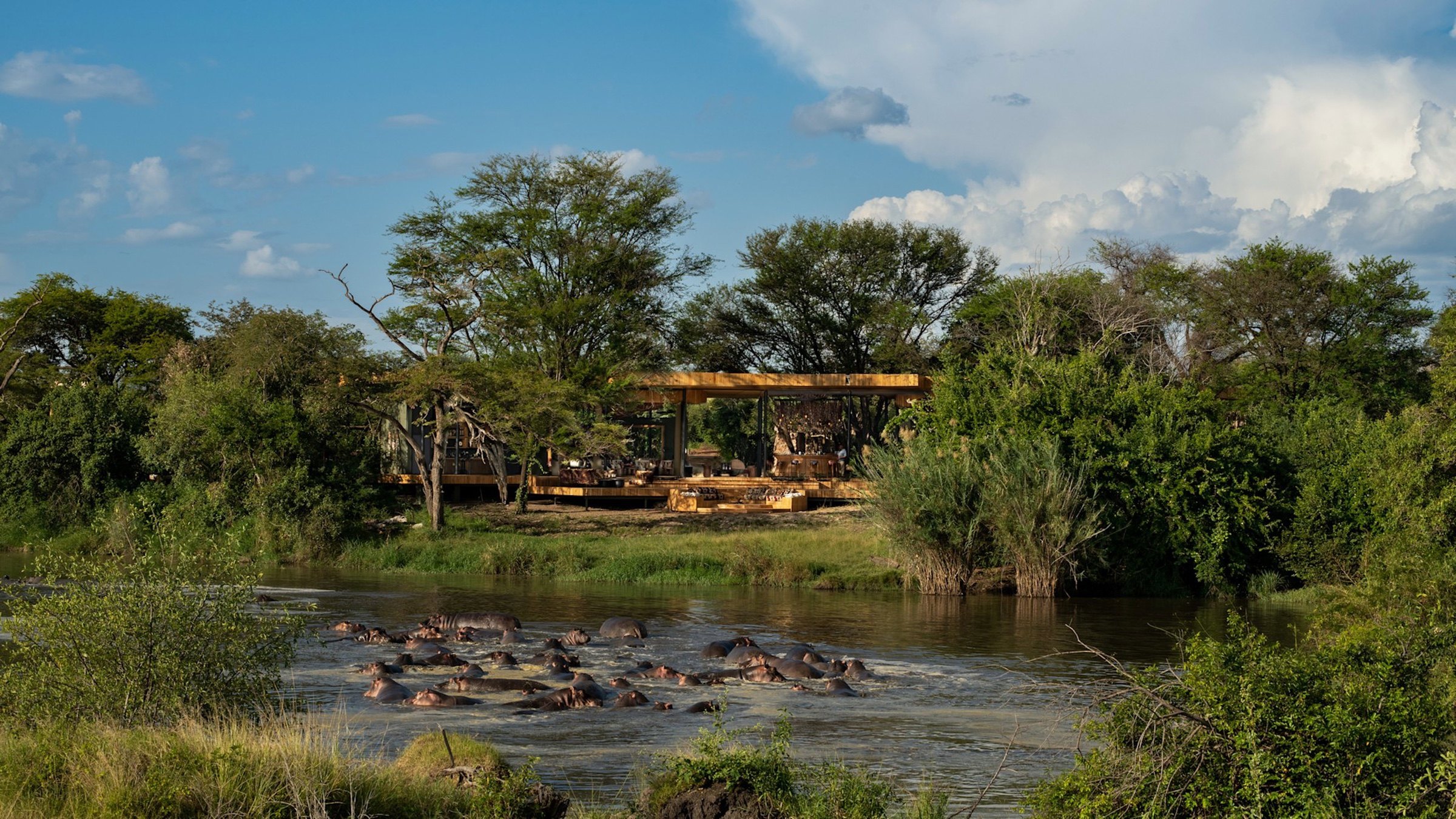 A lodge surrounded by green vegetation overlooking hippos in a river