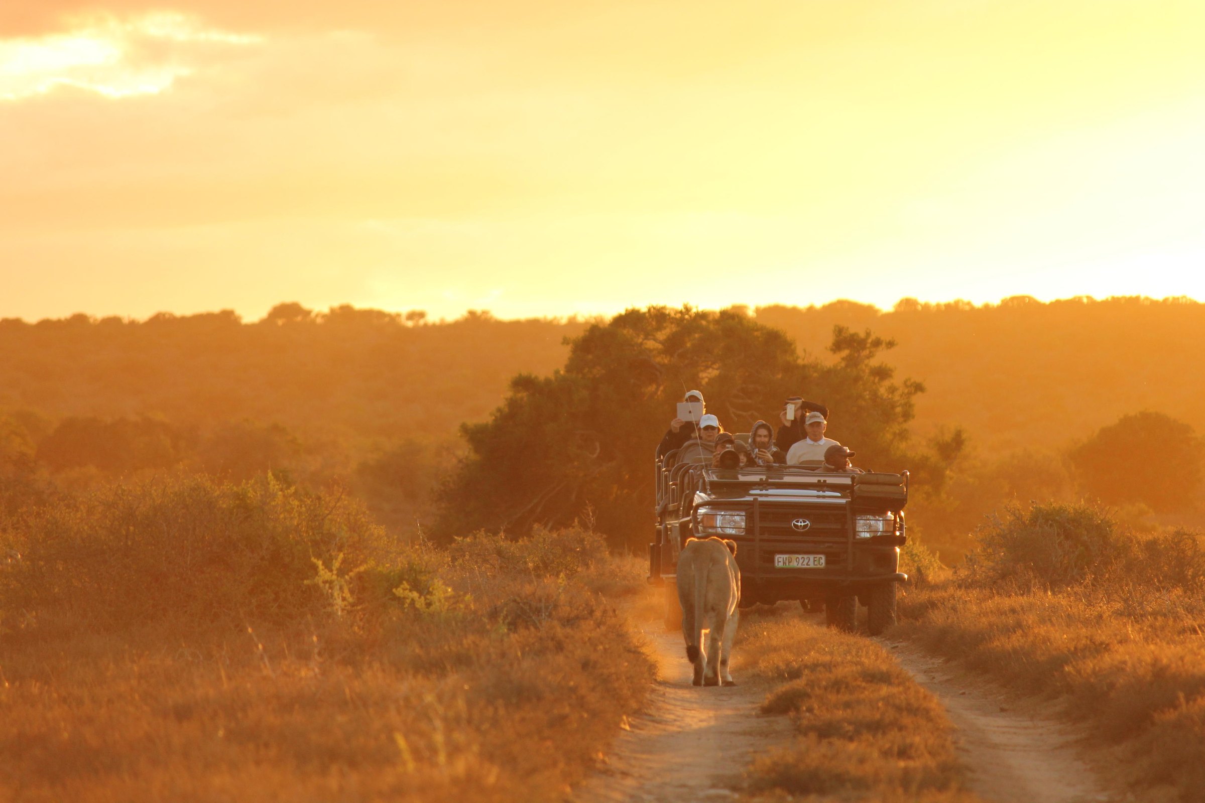 Beach luxury in Africa with private atmosphere