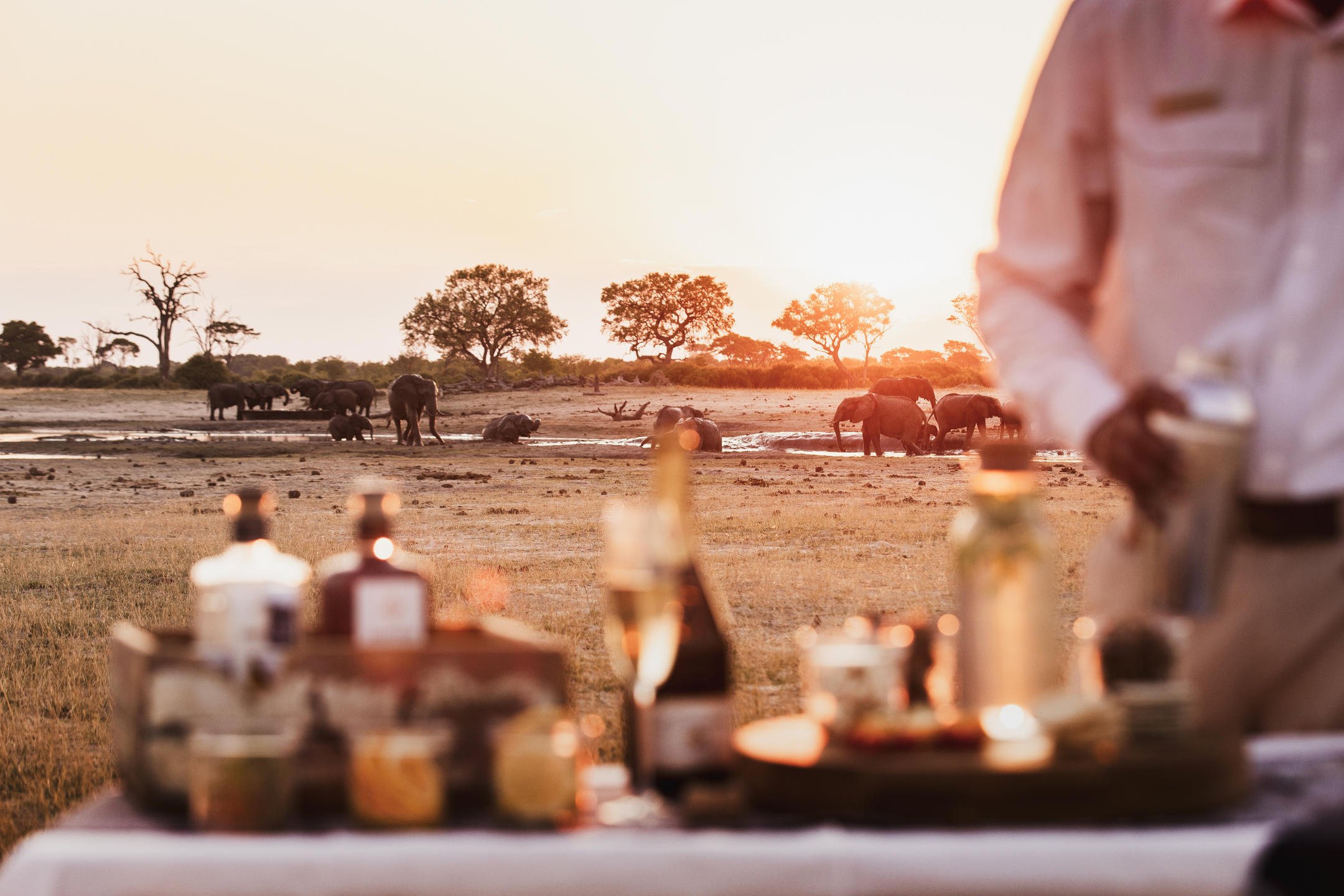 Private safari guiding experience in a conservancy setting