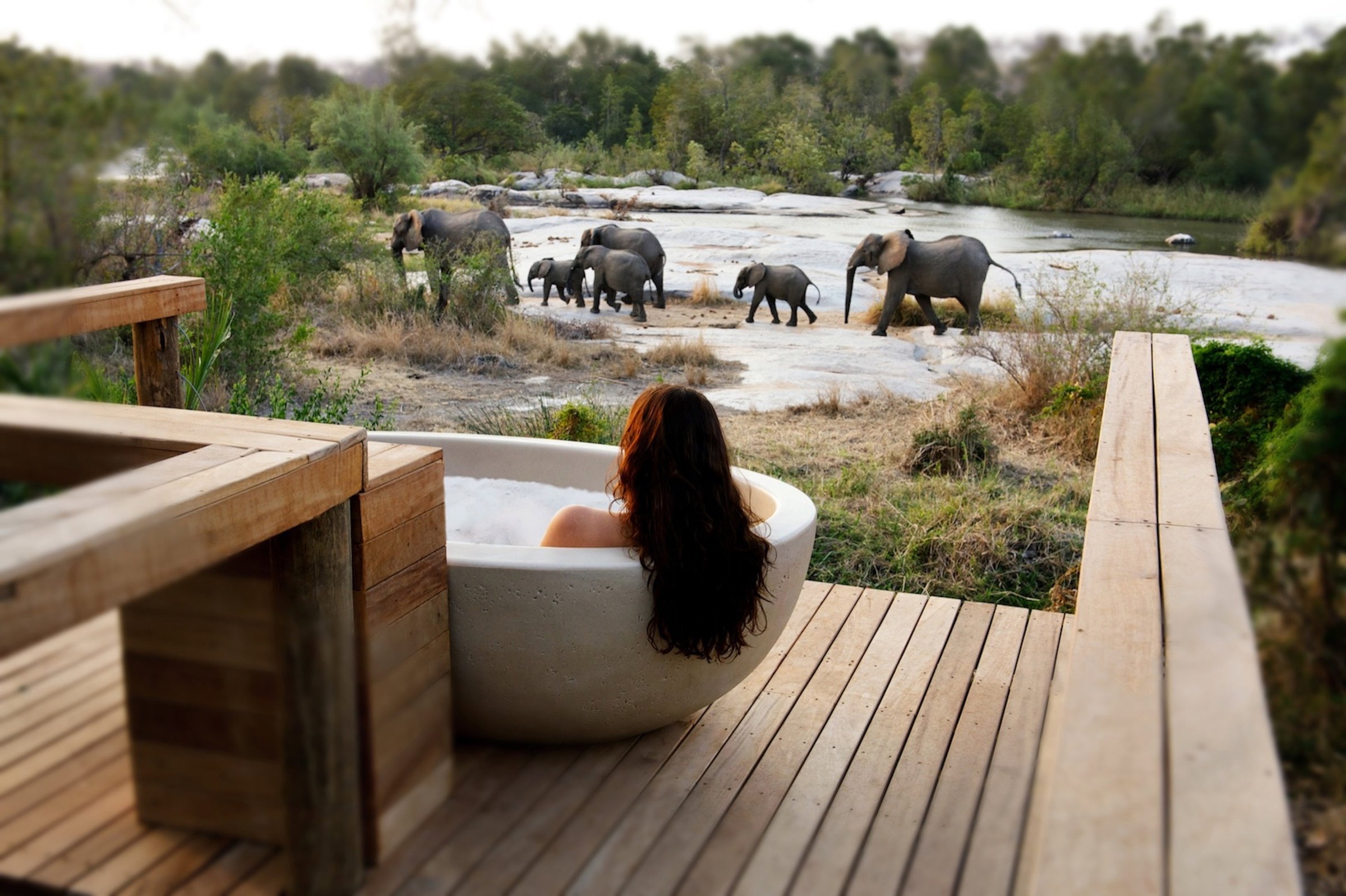 A guest in an outdoor bath watching elephants beside the river at Londolozi Private Granite