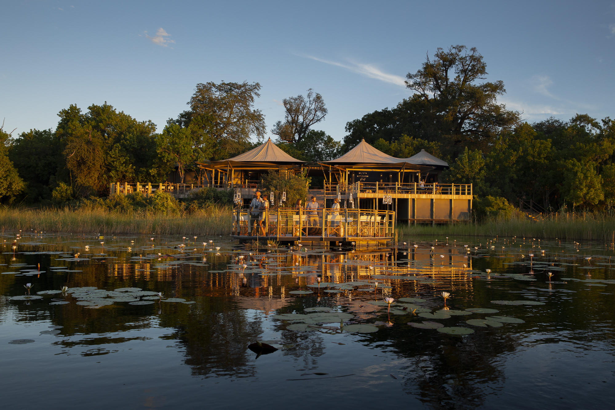 Private conservancy at golden hour  -  Botswana