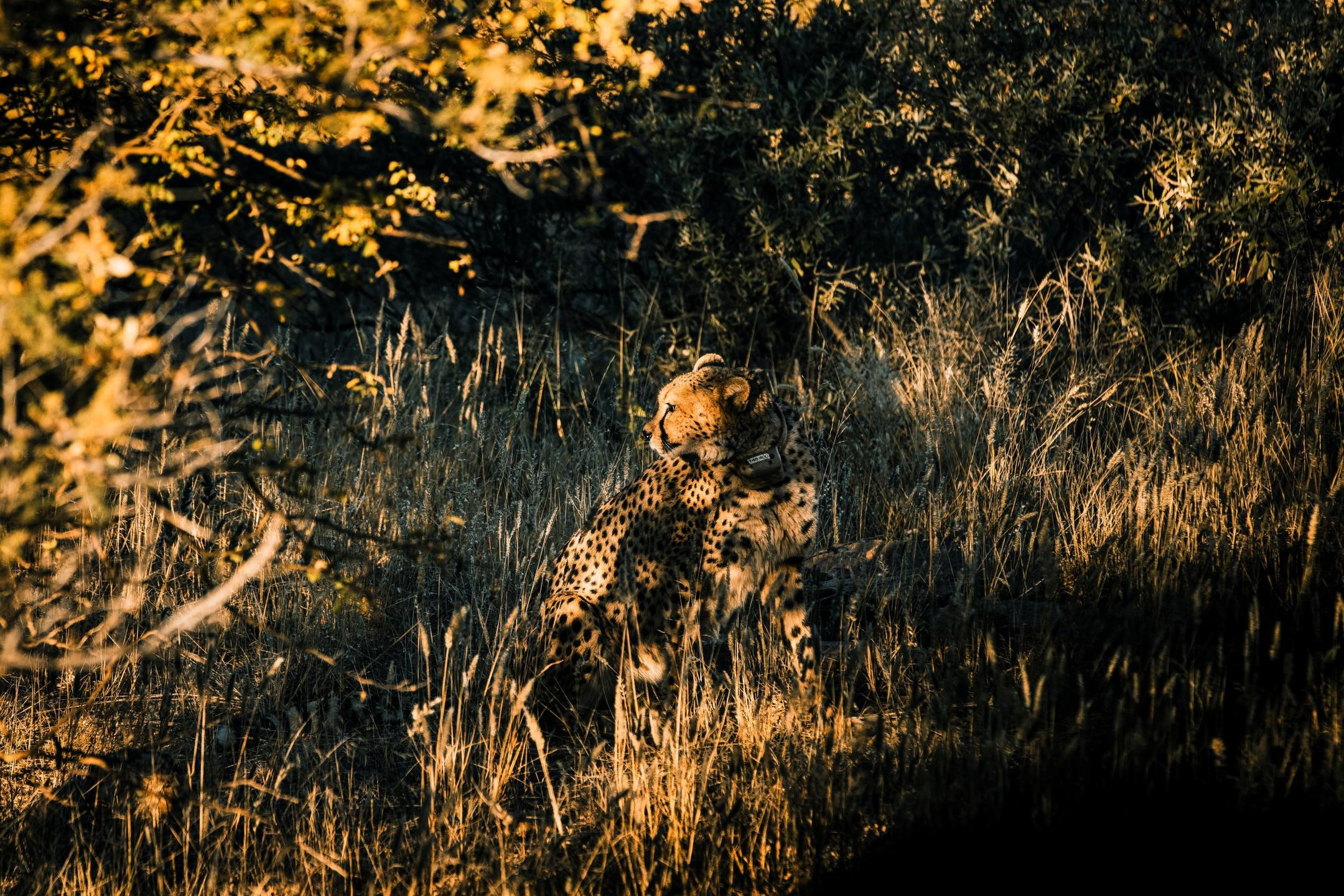 Wildlife and landscape around Zannier Omaanda