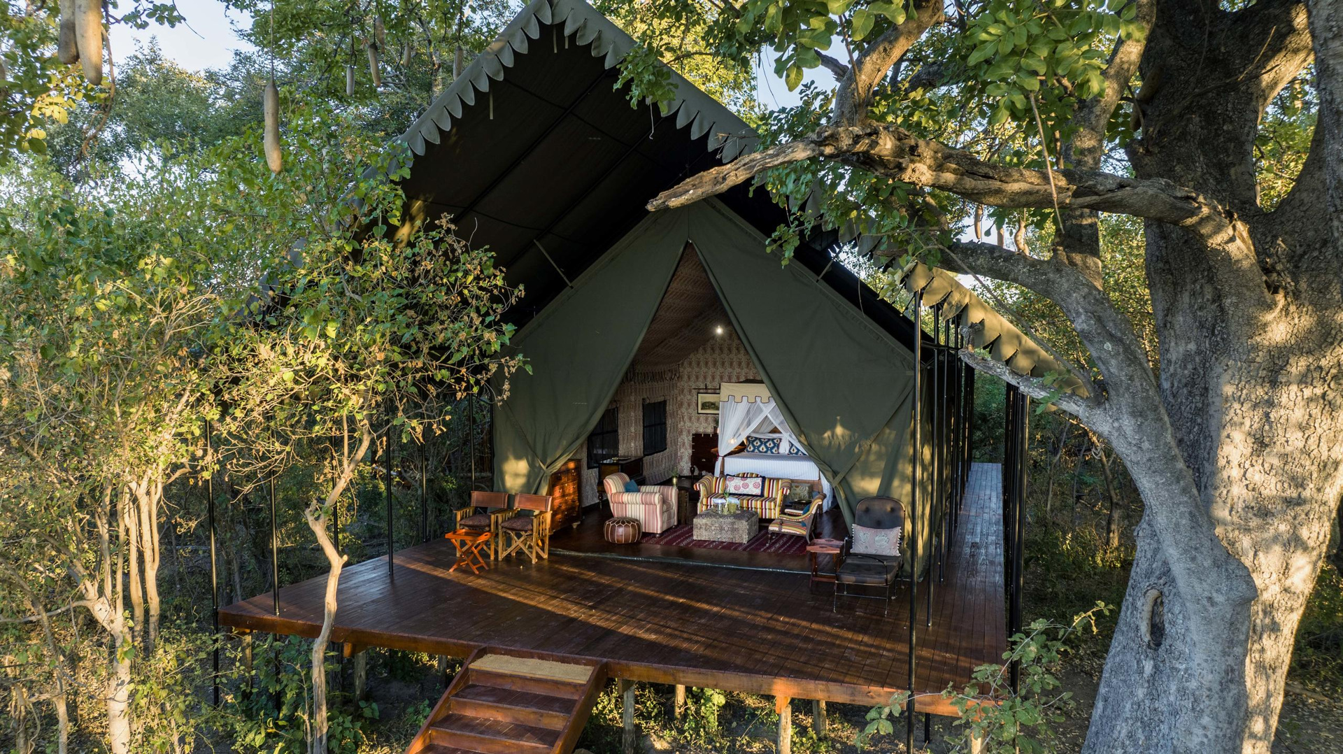 Duke's East suite framed by Delta forest