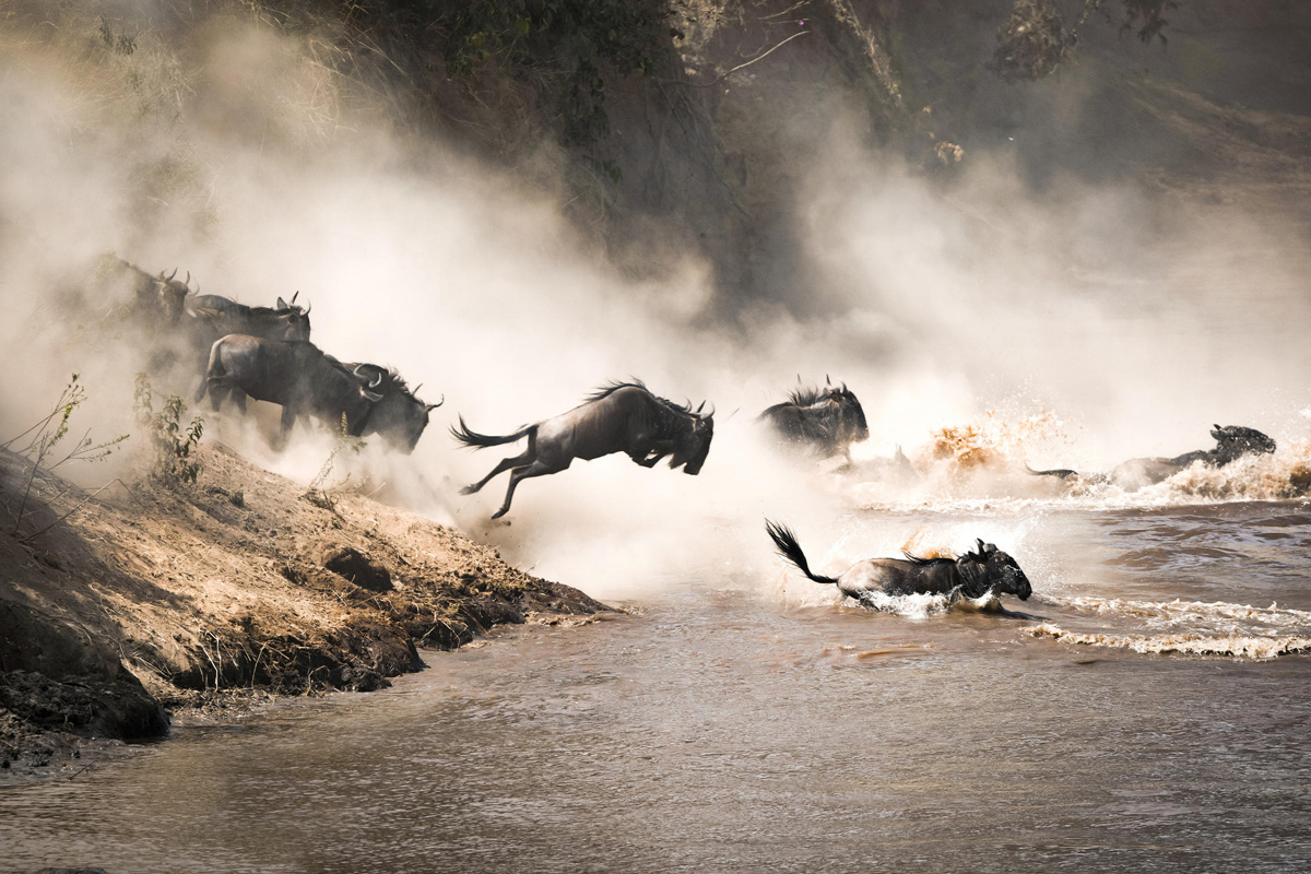 Migration scene in the Serengeti