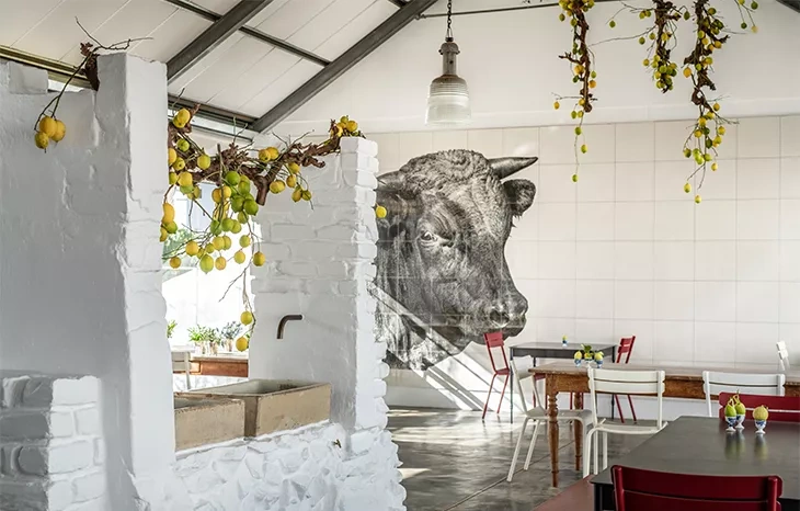 Farm-to-table dining detail at Babylonstoren