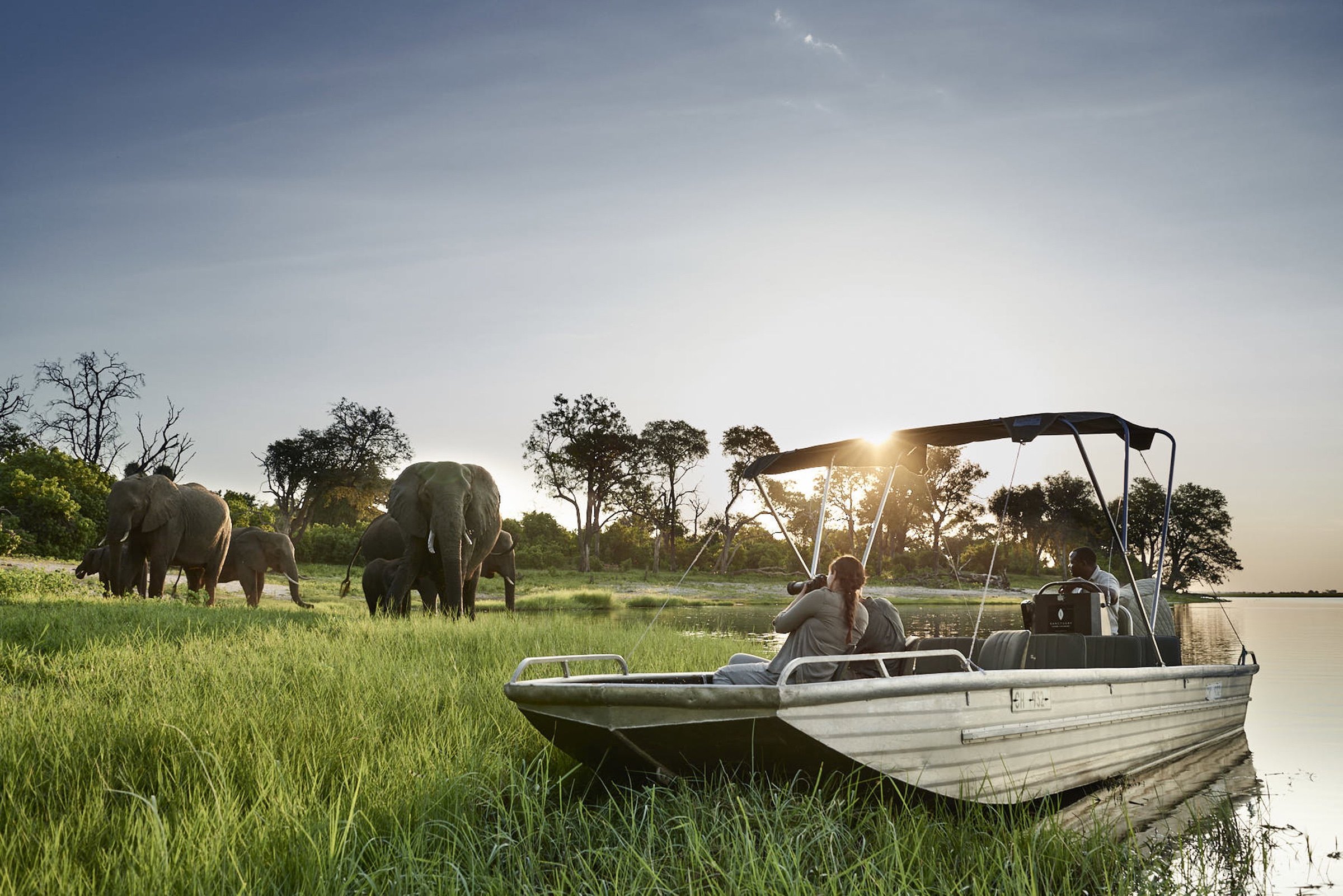 Guests watching elephants from a boat on the Chobe River