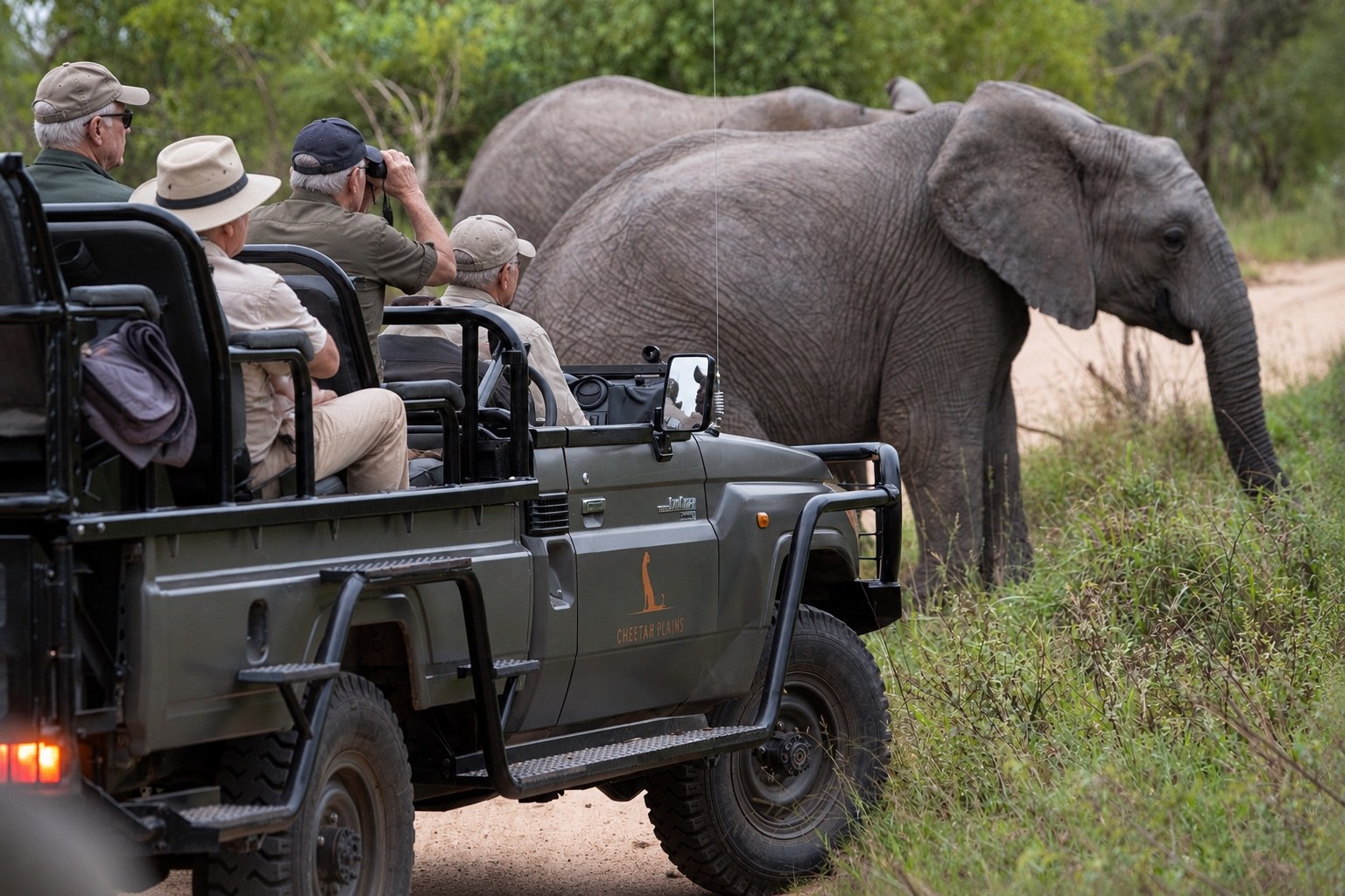 Guests watching elephants from an open safari vehicle in the Greater Kruger region.
