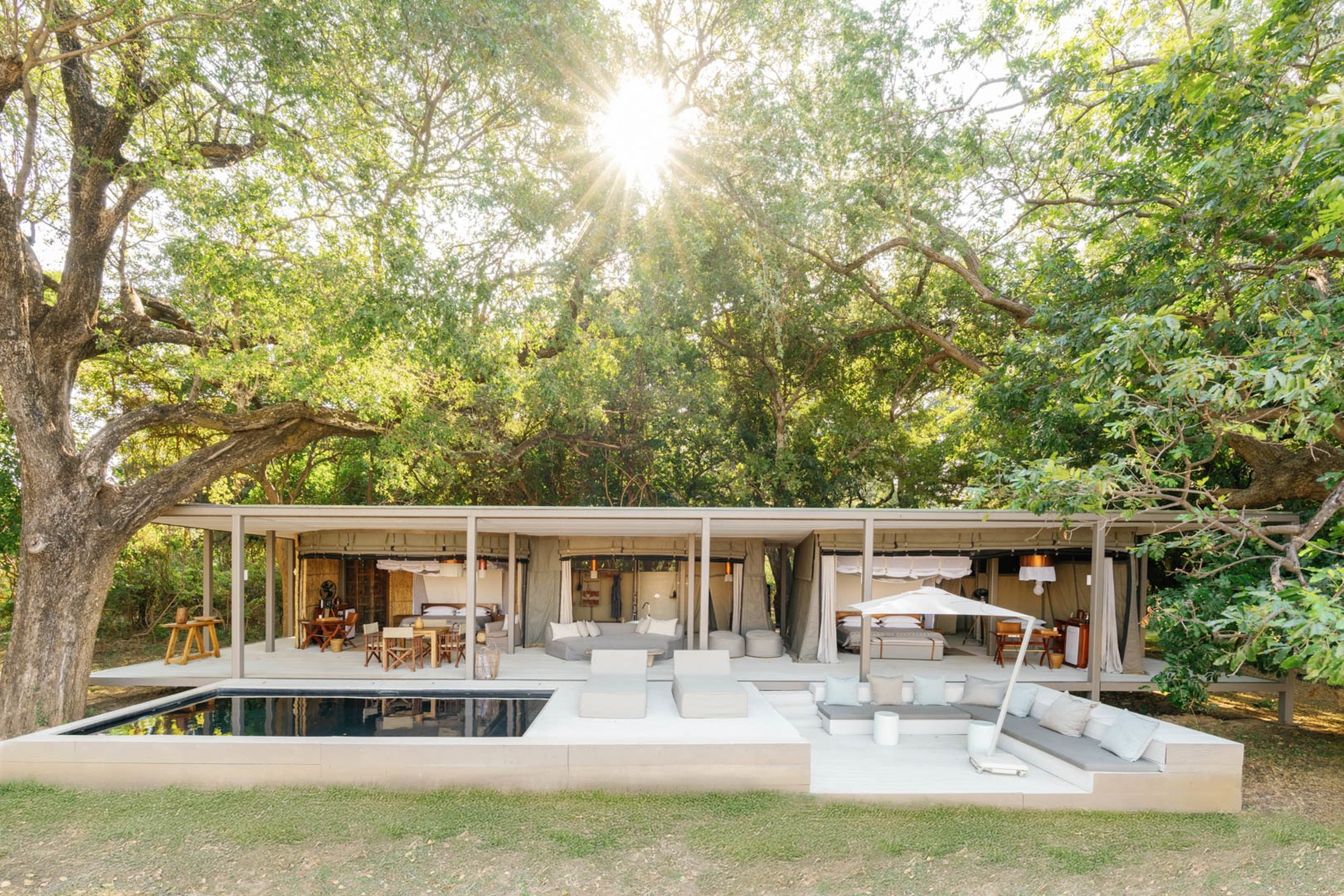 Luxury safari accommodation beneath large trees in Zambia