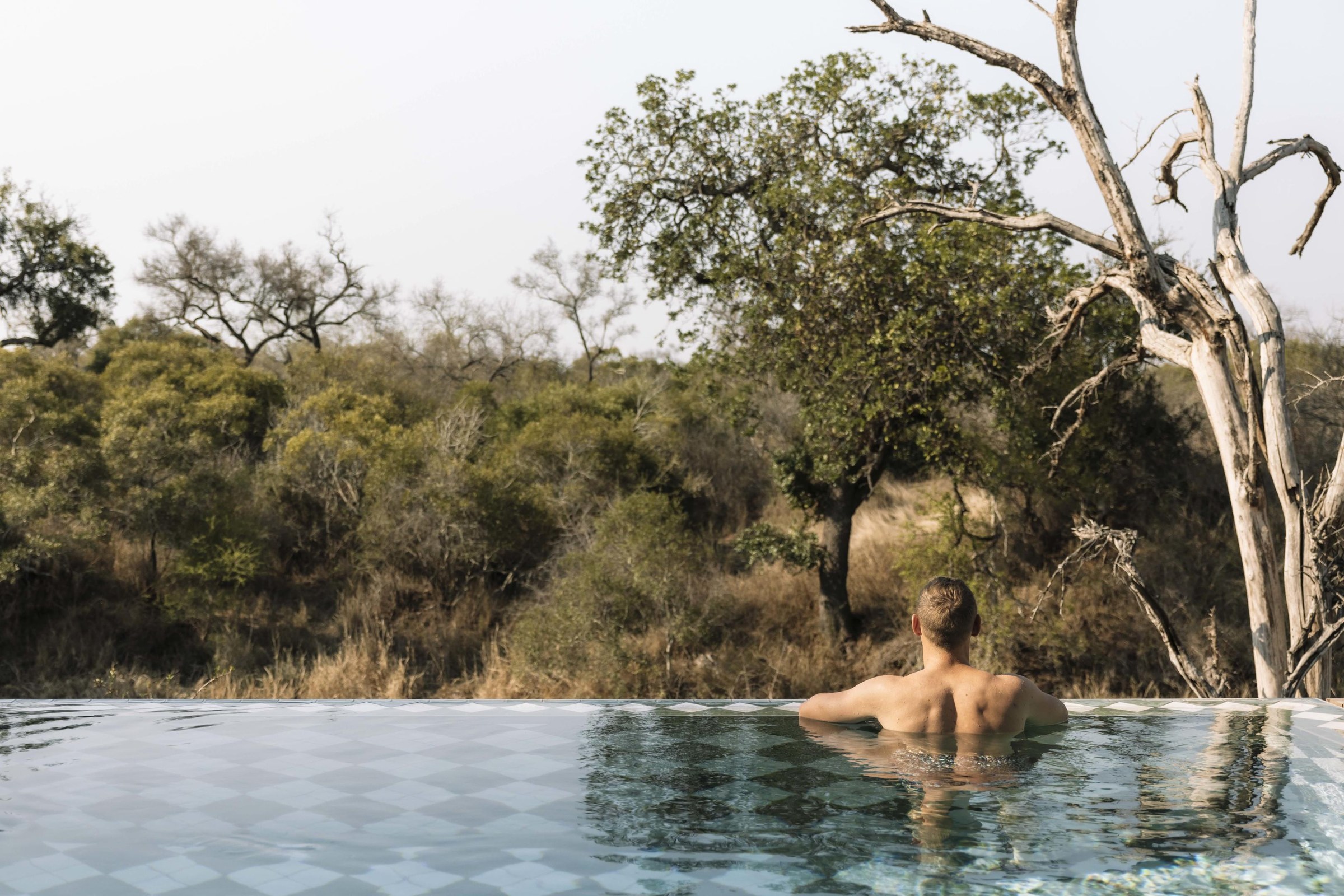 Luxury African safari sunrise game drive in open wilderness