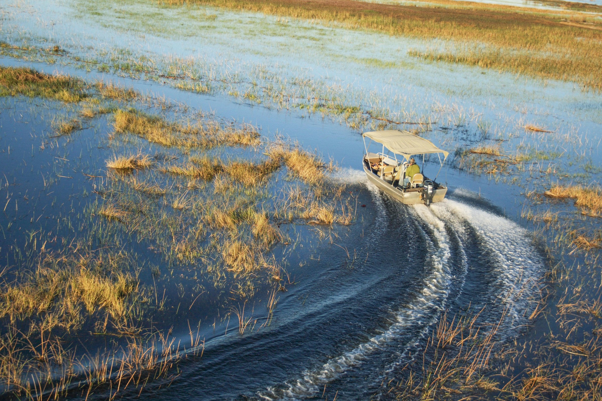 Motorboat cutting through Okavango Delta channels in Botswana