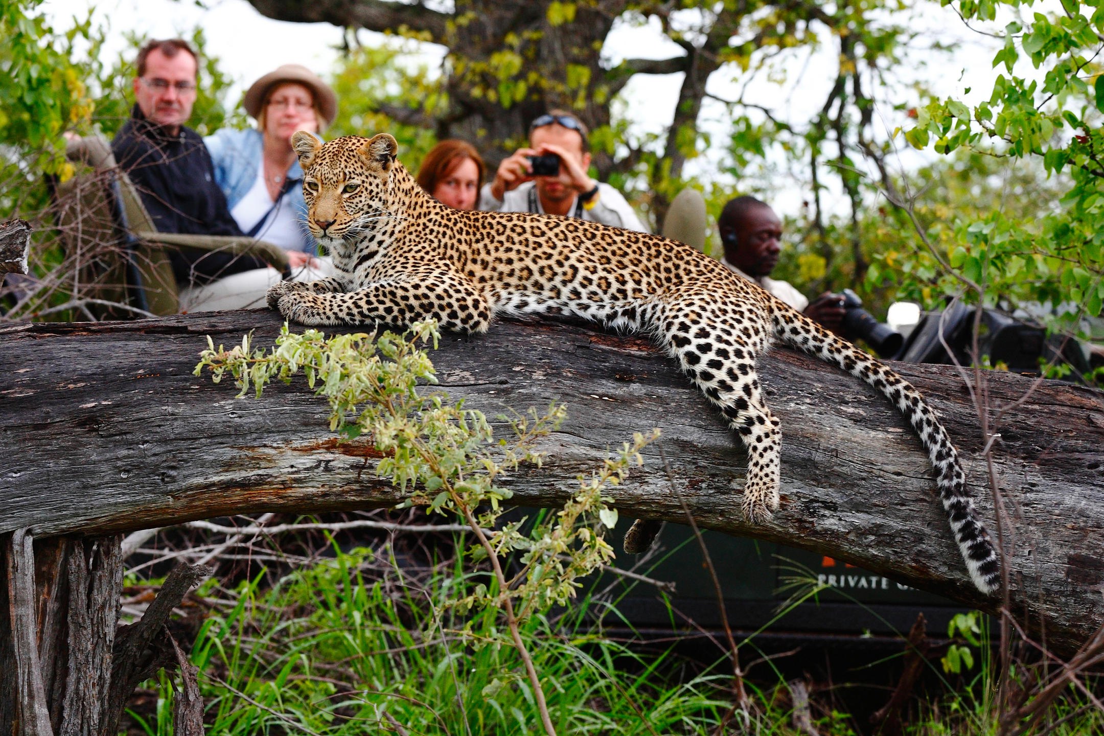 Private reserve safari setting in greater Kruger