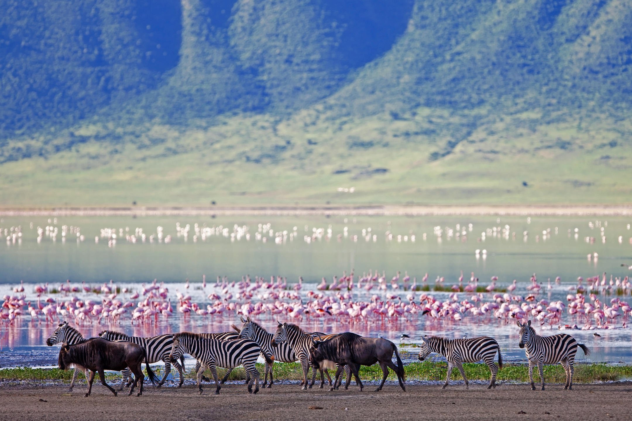 Ngorongoro landscape or lodge atmosphere in Tanzania