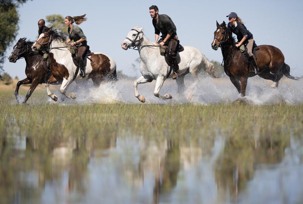 Horse riding safari in the Okavango Delta during dry season