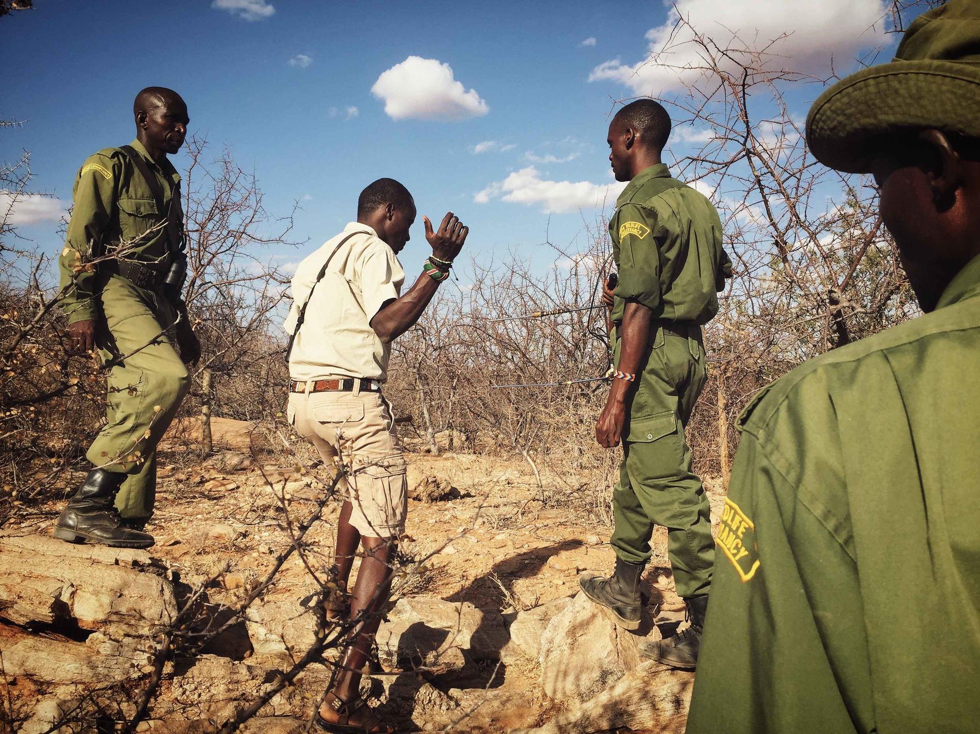 Rhino tracking in a private African conservation area