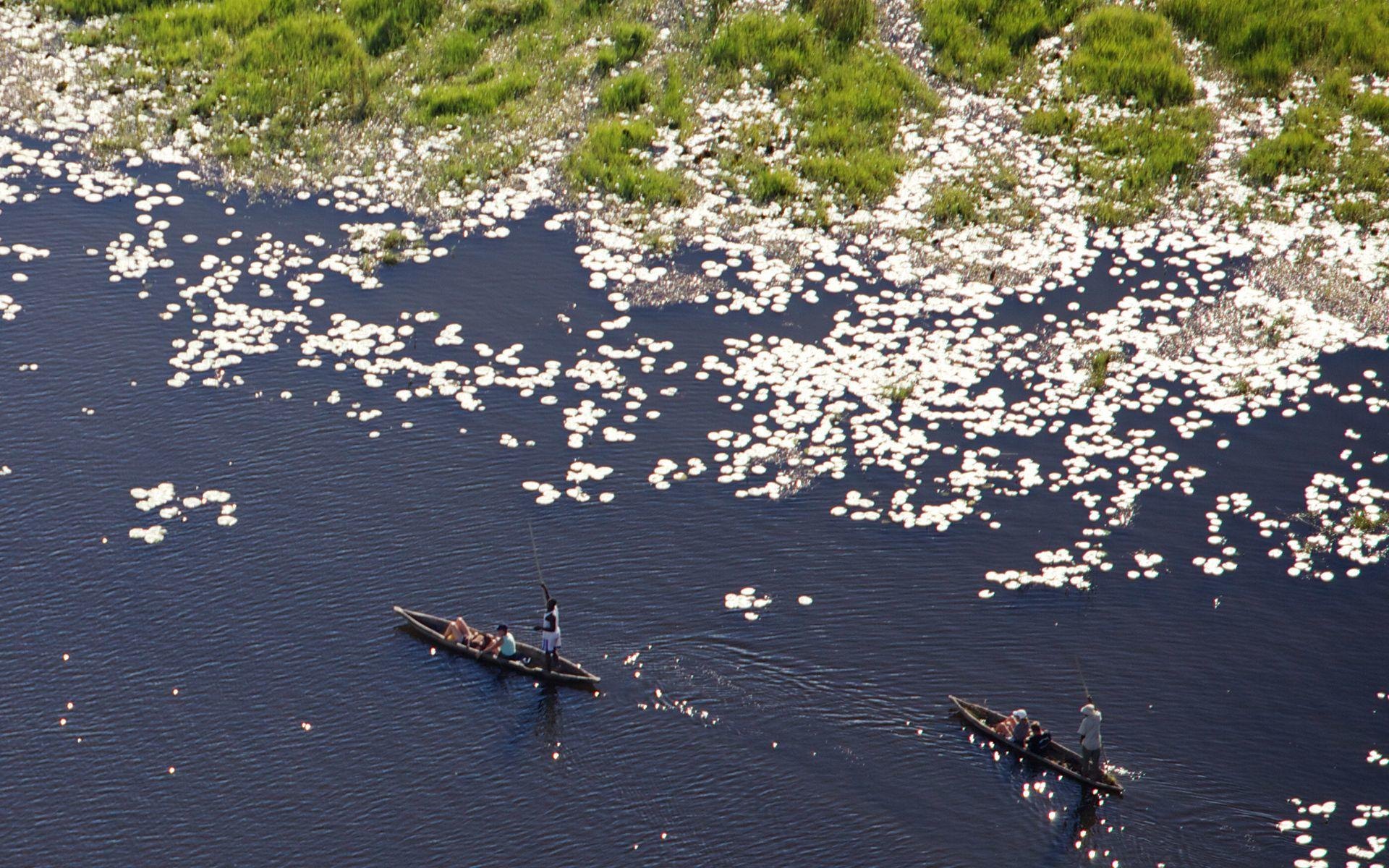 Okavango Delta luxury safari scene in Botswana